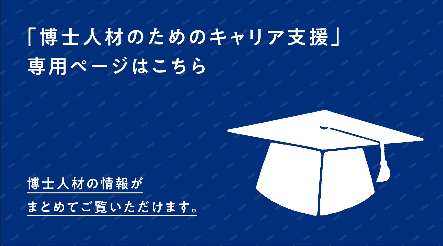 博士人材のためのキャリア支援